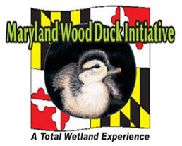 Maryland Wood Duck Initiative
